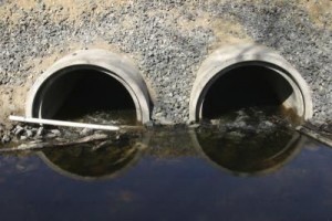 Pesticidi in Italia inquinano le acque
