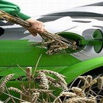 biofuel fonti rinnovabili