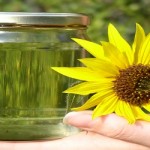 biodiesel fonti rinnovabili