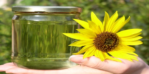 biodiesel fonti rinnovabili