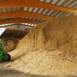 biomasse fonti rinnovabili