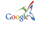 google-hummingbird