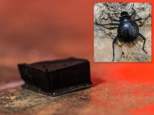 La nano-foresta di carbonio