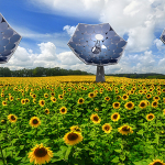 Un nuovo strumento nella tecnologia solare creato da IBM e chiamato "Sunflower" fornisce non solo l'elettricità - è in grado di desalinizzare l'acqua per i servizi igienico-sanitari e per bere