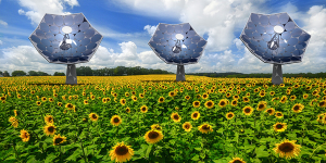 Un nuovo strumento nella tecnologia solare creato da IBM e chiamato "Sunflower" fornisce non solo l'elettricità - è in grado di desalinizzare l'acqua per i servizi igienico-sanitari e per bere
