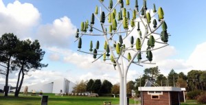 L'albero del vento, denominato Wind Tree, in tutto il suo splendore