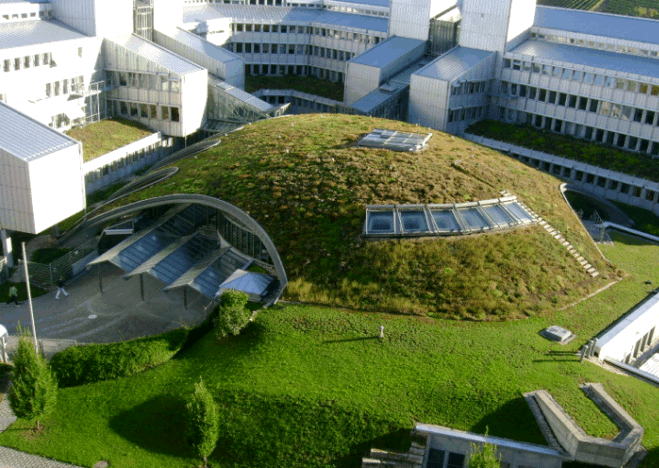 Green roof